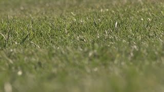 Residents fighting to keep grassy areas after HOA dispute