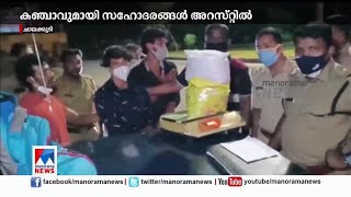 ചാലക്കുടിയില്‍ കഞ്ചാവുമായി സഹോദരങ്ങള്‍ അറസ്റ്റില്‍ | Thrissur Ganja