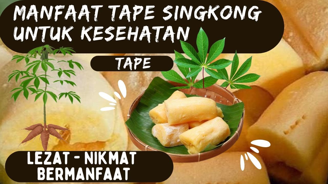 MANFAAT TAPE UNTUK KESEHATAN | TAPE SINGKONG MAKANAN SEHAT - YouTube