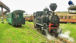 Mocanita 764-243 CFI Steam Loko/Damfplok la Manevra/Shunting in Depoul Criscior Depot 21 April 2017