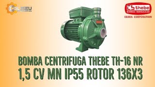 Bomba Centrifuga Thebe Th-16 Nr 1,5 Cv Mn Ip55 Rotor 136x3 | Coliseu Ferramentas