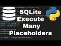 How to use ExecuteMany in SQLite Python - Python SQLite Tutorial