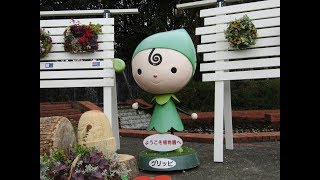 【福岡市植物園】「師走薔薇と温室花等と外園の紅葉！等々」２０１９スライドショー