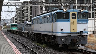 【カラシ牽引•甲種輸送】 EF65-2127+コキ 3両+伊豆箱根鉄道 大雄山線 5000系3両 湯河原駅停車