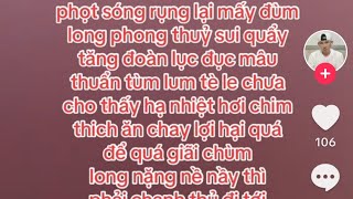 PHAN TUỆ PHAN BÁU GIỜ ĐẤU ĐÁ NHAU CHÚNG TA XEM TỤI U MÊ DIỄN HÀI CHỊ HẰNG NÓI RẤT ĐÚNG