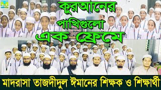 মাদরাসা তাজদীদুল ঈমান পূর্ণাঙ্গ পরিচিতি। Madrasa Tazdidul Iman I Tazdid Media 2024 #Tazdid_Media