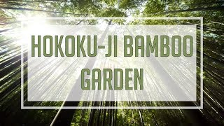 Take a Quick Tour of the Hokokuji Bamboo Forest - Kamakura, Japan