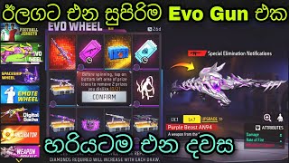 ඊලගට එන සුපිරිම Evo Gun එක | Free Fire Evo AN94 Full Review \u0026 Confirm Date 2022 | FF Next Evo Gun