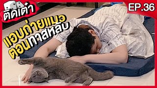 ติดเต๋า EP.36 | แอบถ่ายพฤติกรรมแมวตอนเราหลับ... | Sleep With Cat