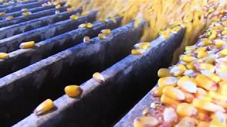 AgriGold Timeline Video