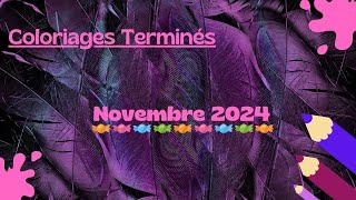 Colos terminés novembre 24