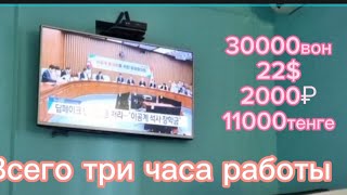 Совет на миллион, работа в Южной Корее #южнаякорея #работавкорее #работазаграницей