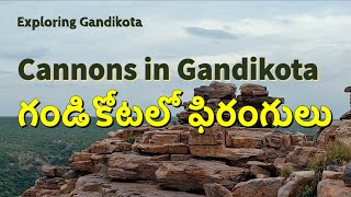 Explore Gandikota 21: Cannons in Gandikota | గండికోటలో ఫిరంగులు