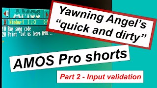 Amiga Amos Pro Shorts part 2: Input Validation