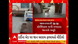 Jamnagar: જામનગરની જી.જી હોસ્પિટલના બેડ પર શ્વાન આરામ ફરમાવતા નજરે પડ્યા જૂઓ વીડિયો