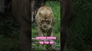 আপনার সবচেয়ে বড় শত্রু হল আপনার অনিয়ন্ত্রিত মন / Best Motivational Quotes in Bangla 2025