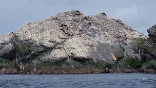 muckle flugga and out stack, the most northern point of the British Isles. Scotland.