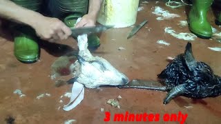 3 मिनेट मा खसी को टाउको बनाउने तरिका /मटन cutting in mutton nepal