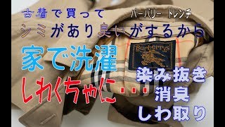 家で洗ってしわくちゃに　バーバリートレンチ　染み抜きと消臭としわ取り