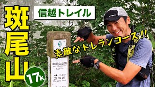 信越トレイルの玄関口、斑尾山周辺をトレイルランニング！斑尾高原スキー場からブナ林をぬけて赤池を走ります！