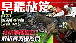 【賽馬貼士】分析冷門暗飛馬│專捉熱門未得治│《2025年2月5日》24-25賽季 #早飛秘笈  EP43 #子樺 #賽馬貼士 #賽馬任我行