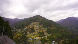 【コラボ】車載動画　徳島紅葉ドライブ７　ちょいのり＋　落合峠～落合展望台（徳島県三好市）　Drive to see the autumn leaves of Tokushima Japan.