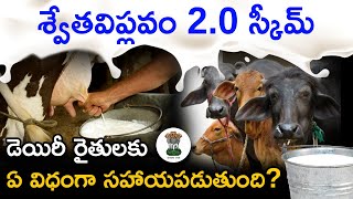 ఈ శ్వేతవిప్లవం 2.0 అంటే ఏంటి? | White Revolution 2.0 in Telugu | Dairy Farmers Please Watch