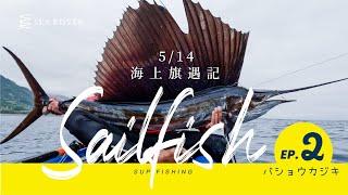 SUP海上旗遇記 EP.2    #芭蕉旗魚 #バショウカジキ #searover #supfishing #sup #sup釣魚