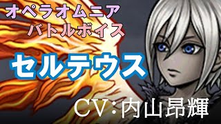 【FF11】セルテウス【DFFOO】