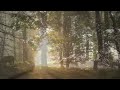 no copyright background nature video no sound no music free stock footage