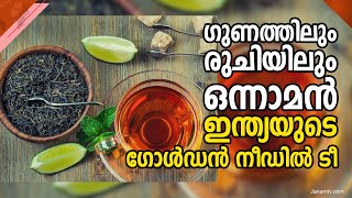 ഗുണത്തിലും രുചിയിലും ഒന്നാമൻ;  ഇന്ത്യയുടെ ഗോൾഡൻ നീഡിൽ ടീയെക്കുറിച്ചിറിയാം