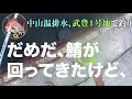 【武豊】温排水に家族を連れて行った。