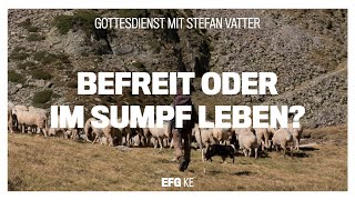 Befreit oder im Sumpf leben? | Stefan Vatter