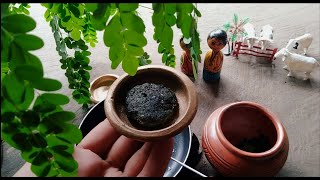 Sojne pata vorta|Miniature sojne recipe|Moringa leaves recipe