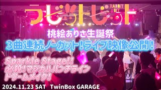 【LIVE映像】2024.11.23(土)桃絵ありさ生誕祭2024 Sparkle Stage!!/必殺！マジカルパンチライン/ドリームメイク!