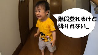 1歳3ヶ月　階段を登るのが楽しい年頃