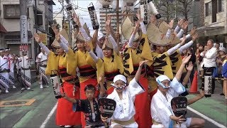 【2019 令和元年】草加宿場まつり「いなせ連の組踊り（おせん茶屋公園前）」