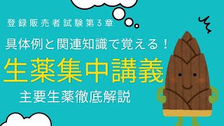 【具体例で覚える！】生薬を他の関連知識と結びつけて勉強して覚えよう！生薬集中講義【登録販売者試験第３章】