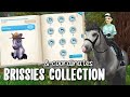 Brissie's Collection: ALL 20 Locations with Coordinates - Star Stable Online