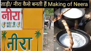 making of Neera।। ताड़ी/ नीरा कैसे बनती हैं।। नीरा पीने के क्या क्या फायदे हैं।।