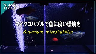 [Arowana] Easy way to generate microbubbles