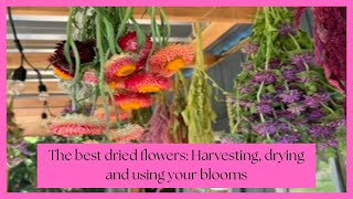 The Best Dried Flowers: Harvesting, Drying, and Using Your Blooms