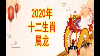 【12生肖2020年運勢運程】2020庚子鼠年十二生肖屬龍的人流年運程預測詳解