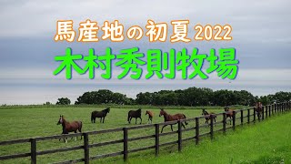 馬産地の初夏2022～木村秀則牧場