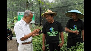 Plantations International visits Instiper Agriculture Institute