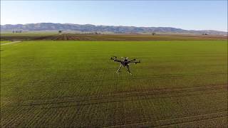 Integration of Drone, Computer Vision, and AI for the Identification of Weeds