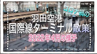 【羽田空港】コロナ禍の国際線ターミナルの様子を見に行ってきた