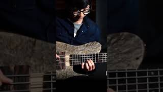 Groovy Bass Performance on Fodera Custom Imperial 5 I Bassist 이성찬 #fodera #bass #actualproof