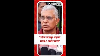 'আমার মনে হয় যাঁরা দরাদরি করবেন তাঁদের নিজের এলাকাতেও জবাব দিতে হবে', মন্তব্য দিলীপের