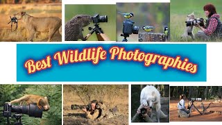 Best Wildlife Photographies of the World || Funny Moments in Forest/Jungle #lion #amazoneforest